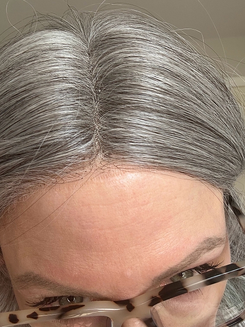 Exquisite grey wavy long-length  Synthetic Lace Part Wig GLP013