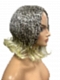 Pretty Auburn mixed  blonde Roots melting into light blonde ends Wavy Bob Synthetic Lace Part Wig GLP017