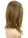 Dark Blonde Evenly Blended with Medium Golden Blonde  shoulder-length layered Straight synthetic Lace Part  wig glp040