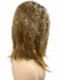 Dark Blonde Evenly Blended with Medium Golden Blonde  shoulder-length layered Straight synthetic Lace Part  wig glp040