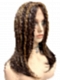 Captivating  Warm Medium Brown Evenly Blended with Medium Golden Blonde Long Straight Synthetic Lace Part Wig GLP023