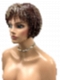 Trendy Medium Auburn  with Blonde Highlights Short  bob with bangs Synthetic Wig (Basic Cap) GBC005