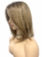 Honey blonde  with platinum blonde highlights strands in the front Straight Synthetic Lace Part Wig GLP053