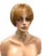 Light Brown with Blonde Highlights Short Layered Bob with Bangs Synthetic Wig (Basic Cap) GBC010