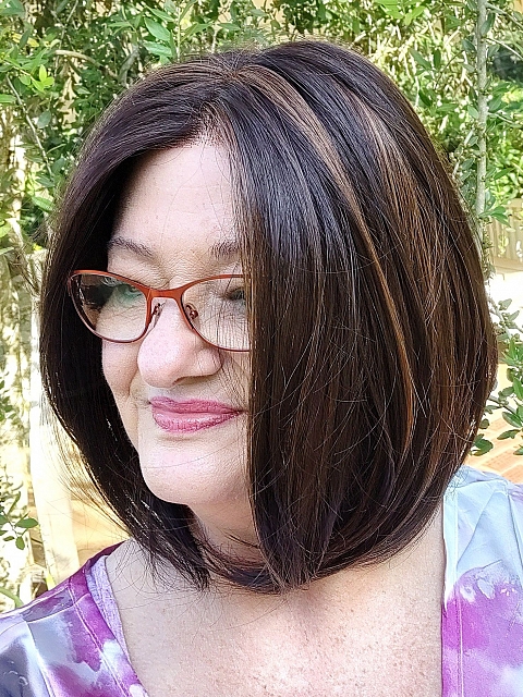 Radiant  Dark Brown with Blonde Highlights bob style Synthetic Mono TOP Wig GMT007