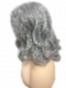Silver grey layed wavy with side bangs  Synthetic Lace Part Wig GLP049