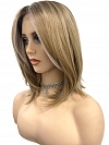 Honey blonde  with platinum blonde highlights strands in the front Straight Synthetic Lace Part Wig GLP053
