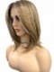 Honey blonde  with platinum blonde highlights strands in the front Straight Synthetic Lace Part Wig GLP053
