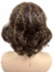 Brown with Medium Red-Gold Blonde Highlights  carefree wavy layered Synthetic Lace Part Wig GLP044