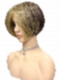  Medium Light Brown Evenly Blended with Medium Golden Blonde modern bob Synthetic Wig (Basic Cap) GBC015