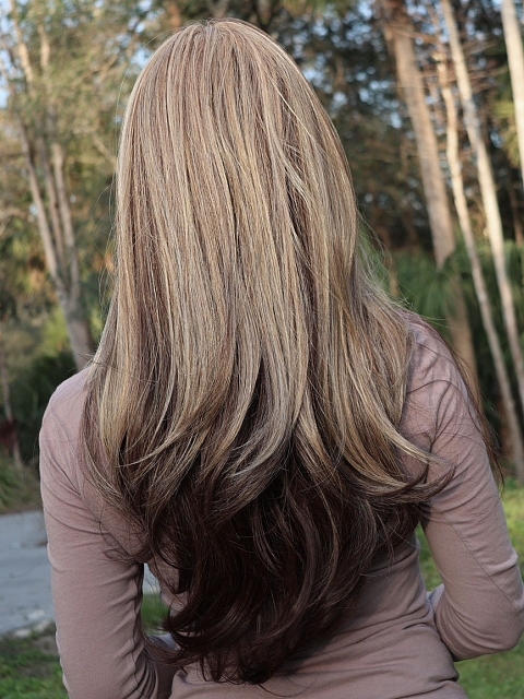 Warm Brown mixed Blonde long straight Synthetic Lace Part Wig GLP002