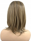 Honey blonde  with platinum blonde highlights strands in the front Straight Synthetic Lace Part Wig GLP053
