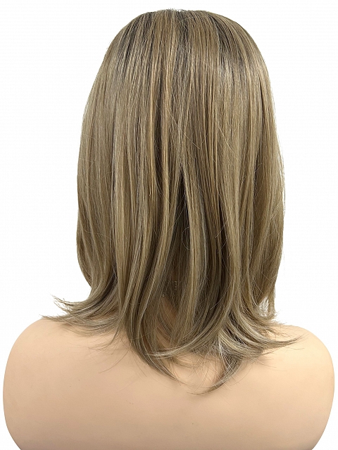 Honey blonde  with platinum blonde highlights strands in the front Straight Synthetic Lace Part Wig GLP053