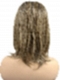 Honey blonde  with platinum blonde highlights strands in the front Straight Synthetic Lace Part Wig GLP053