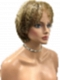 Warm Medium Brown with Golden Blonde Highlights Short Chin Length Bob Synthetic Wig (Basic Cap) GBC003